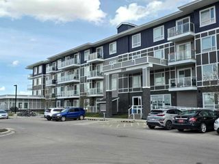 Photo 14: 2122 76 Cornerstone Passage NE in Calgary: Cornerstone Apartment for sale : MLS®# A2128990