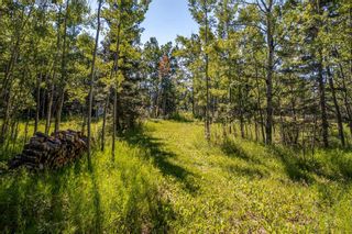 Photo 11: 25255 Bearspaw Place in Rural Rocky View County: Rural Rocky View MD Residential Land for sale : MLS®# A2074509