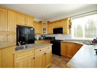 Photo 5: 21623 MURRAYS Crescent in Langley: Murrayville House for sale in "Murrayville" : MLS®# F1309560