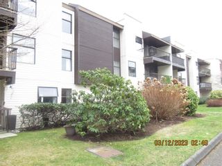 Photo 28: 105 585 S Dogwood St in Campbell River: CR Campbell River Central Condo for sale : MLS®# 926405