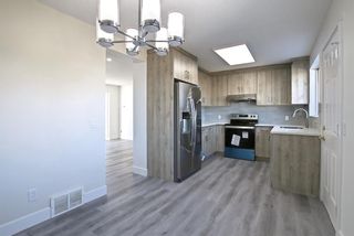 Photo 20: 80 Martinbrook Road NE in Calgary: Martindale Detached for sale : MLS®# A1162744