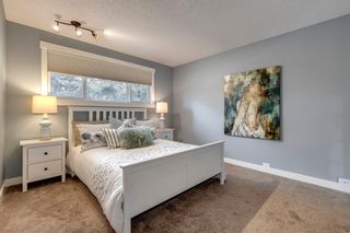 Photo 18: 1431 Colleen Avenue SW in Calgary: Chinook Park Detached for sale : MLS®# A1221611