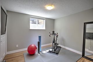 Photo 33: 456 Acadia Drive SE in Calgary: Acadia Detached for sale : MLS®# A1238226