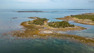 Photo 4: Squirrel Island in Forbes Point: 407-Shelburne County Vacant Land for sale (South Shore)  : MLS®# 202309168