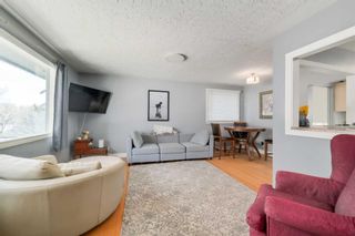 Photo 3: 911 31 Avenue NW in Calgary: Cambrian Heights Detached for sale : MLS®# A2130780