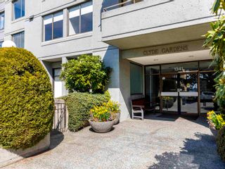 Photo 31: 501 1341 CLYDE Avenue in West Vancouver: Ambleside Condo for sale in "Clyde Garden" : MLS®# R2679428