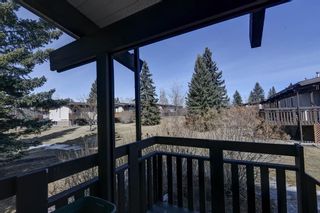 Photo 21: 4964 Rundlewood Drive NE in Calgary: Rundle Semi Detached for sale : MLS®# A1196942