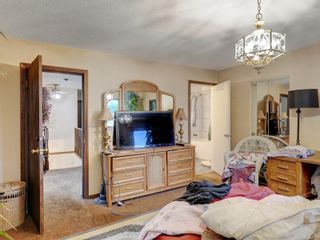 Photo 14: 3912 Braefoot Rd in Saanich: SE Cedar Hill Single Family Residence for sale (Saanich East)  : MLS®# 951237