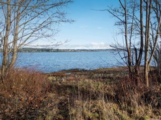 Photo 21: 3632 S Island Hwy in Courtenay: CV Courtenay South Land for sale (Comox Valley)  : MLS®# 951089