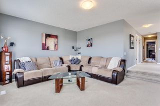 Photo 21: 66 Skyview Point Rise NE in Calgary: Skyview Ranch Detached for sale : MLS®# A1212489