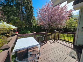 Photo 34: 11640 PINE Street in Maple Ridge: West Central House for sale : MLS®# R2871988