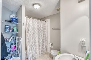 Photo 35: 53 Royal Birch Mount NW in Calgary: Royal Oak Row/Townhouse for sale : MLS®# A2019963