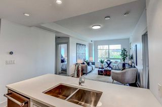 Photo 8: 314 46 9 Street NE in Calgary: Bridgeland/Riverside Apartment for sale : MLS®# A2128255