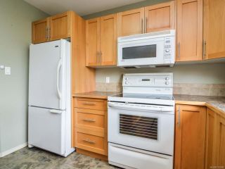 Photo 13: 135 Colorado Dr in CAMPBELL RIVER: CR Willow Point House for sale (Campbell River)  : MLS®# 770898