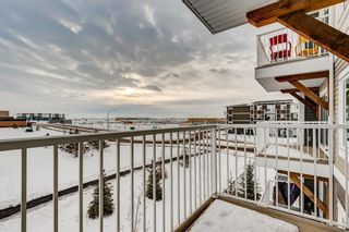 Photo 18: 7312 302 SKYVIEW RANCH Drive NE in Calgary: Skyview Ranch Apartment for sale : MLS®# C4186747