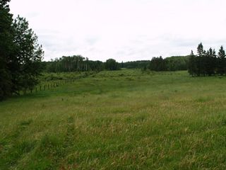 Photo 11: Township Road 380: Rural Clearwater County Residential Land for sale : MLS®# A1234938