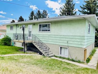 Photo 39: 1044 39 Avenue NW in Calgary: Cambrian Heights Detached for sale : MLS®# A2018139