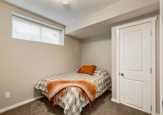 Photo 18: 74 Nolan Hill Drive NW in Calgary: Nolan Hill Detached for sale : MLS®# A2002872