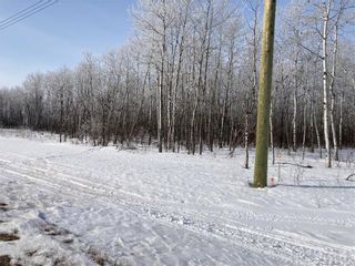 Photo 6: 15 Poplar Street in Roseau River: Vacant Land for sale : MLS®# 202304247