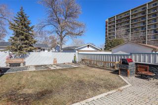 Photo 26: 243 Mapleglen Drive in Winnipeg: Maples Residential for sale (4H)  : MLS®# 202308704