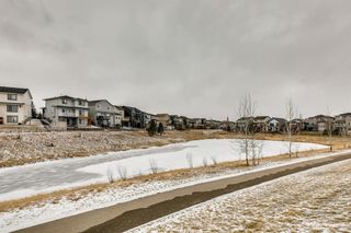 Photo 49: 391 Sagewood Place: Airdrie Detached for sale : MLS®# A1220385
