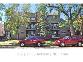 Photo 2: 302 333 5 Avenue NE in Calgary: Crescent Heights Condo for sale : MLS®# C4024075
