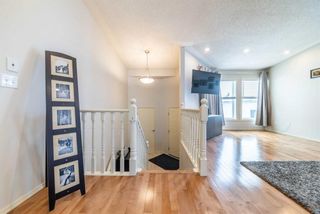 Photo 6: 14 Shawfield Place SW in Calgary: Shawnessy Detached for sale : MLS®# A2120201