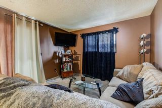 Photo 11: 221 Theodore Place NW in Calgary: Thorncliffe Semi Detached (Half Duplex) for sale : MLS®# A2104167