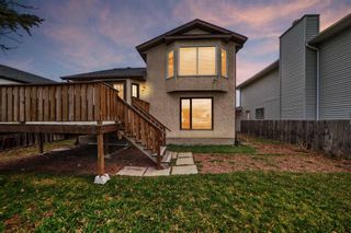 Photo 27: 132 Whitlow Place NE in Calgary: Whitehorn Detached for sale : MLS®# A2126074