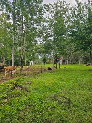 Photo 24: 55 Crocker Road in Harmony: Kings County Farm for sale (Annapolis Valley)  : MLS®# 202317577