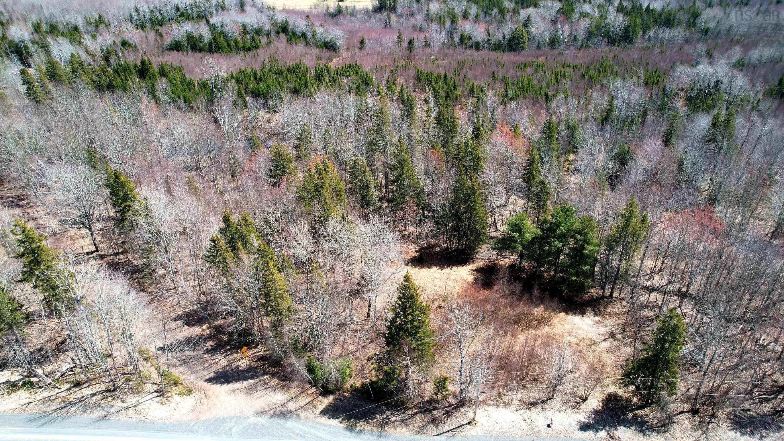 Main Photo: Lot Willow Church Road in Balfron: 103-Malagash, Wentworth Vacant Land for sale (Northern Region)  : MLS®# 202208709