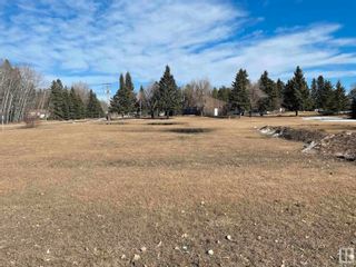 Photo 3: 5433 52 Street: Thorsby Vacant Lot/Land for sale : MLS®# E4285335