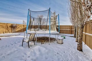 Photo 29: 87 Evansmeade Crescent NW in Calgary: Evanston Detached for sale : MLS®# A2013812