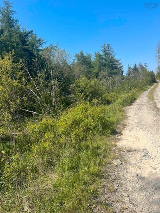 Photo 3: Lot Killam Road in Hillview: County Hwy 1 Vacant Land for sale (Yarmouth)  : MLS®# 202310691