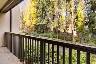 Photo 11: 512 9867 MANCHESTER Drive in Burnaby: Cariboo Condo for sale in "Barclay Woods" (Burnaby North)  : MLS®# R2833412