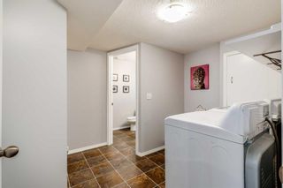 Photo 21: 220 Luxstone Place SW: Airdrie Detached for sale : MLS®# A2121810