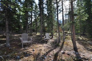 Photo 38: 215 Miskow Close: Canmore Detached for sale : MLS®# A1220624