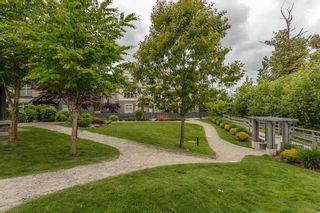 Photo 25: 9 31125 WESTRIDGE Place in Abbotsford: Abbotsford West Townhouse for sale in "Kinfield at Westerleigh" : MLS®# R2605091