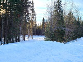 Photo 2: LOT 3 MUERMANN Road in Prince George: Hobby Ranches Land for sale (PG Rural North)  : MLS®# R2751476