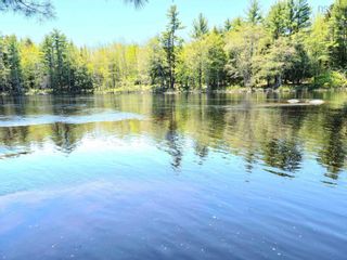 Photo 12: Lot 1 Medway River Road in Bangs Falls: 406-Queens County Vacant Land for sale (South Shore)  : MLS®# 202206174