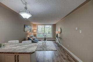 Photo 11: 203 1015 14 Avenue SW in Calgary: Beltline Apartment for sale : MLS®# A2081680