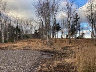 Photo 4: Lot 5 Shore Road in Ponds: 108-Rural Pictou County Vacant Land for sale (Northern Region)  : MLS®# 202227521