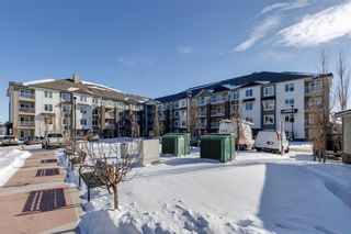 Photo 28: 1301 6118 80 Avenue NE in Calgary: Saddle Ridge Apartment for sale : MLS®# A2031427