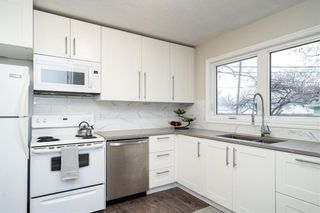 Photo 9: 59 Sage Crescent in Winnipeg: Crestview Residential for sale (5H)  : MLS®# 202225851