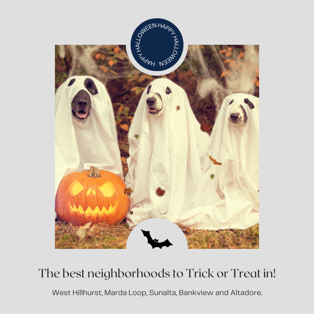 Where to Trick or Treat this Halloween!