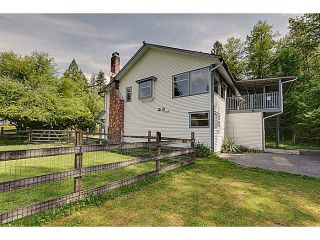 Photo 33: 25990 116TH Avenue in Maple Ridge: Websters Corners House for sale : MLS®# V1097441