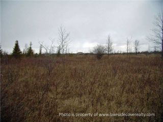 Photo 13: 2489 Concession Road 3 Road in Ramara: Brechin Property for sale : MLS®# X3371303