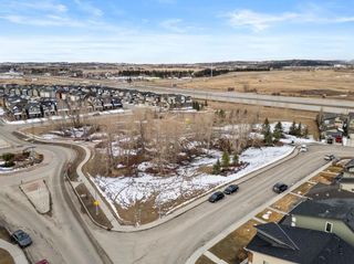 Photo 37: 446 Walden Drive SE in Calgary: Walden Semi Detached (Half Duplex) for sale : MLS®# A2120020