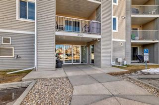 Photo 2: 3306 1620 70 Street SE in Calgary: Applewood Park Apartment for sale : MLS®# A2123526