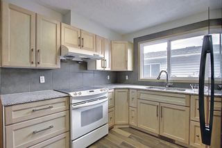 Photo 15: 4527 26 Avenue SE in Calgary: Dover Semi Detached for sale : MLS®# A1105139